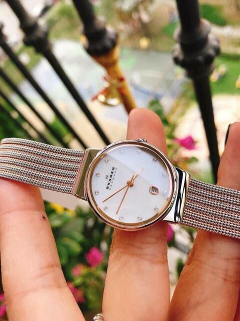 Đồng Hồ Nữ Skagen 355SSRS Đồng Hồ Nữ Skagen 355SSRS